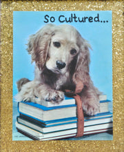 Load image into Gallery viewer, Culture Puppy
